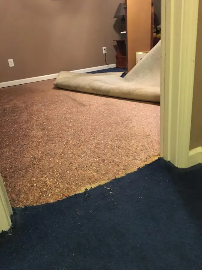 Carpet pad removal revealing water damage during Water Mitigation Services in Elmwood