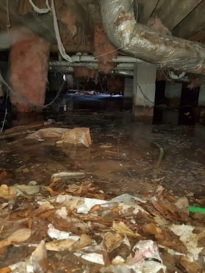 Crawl space flood assessment for Leak Detection & Repair in Elmwood