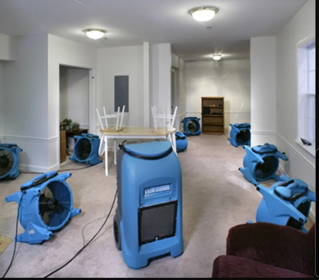 Air movers and dehumidifier setup for Water Extraction & Removal in Elmwood