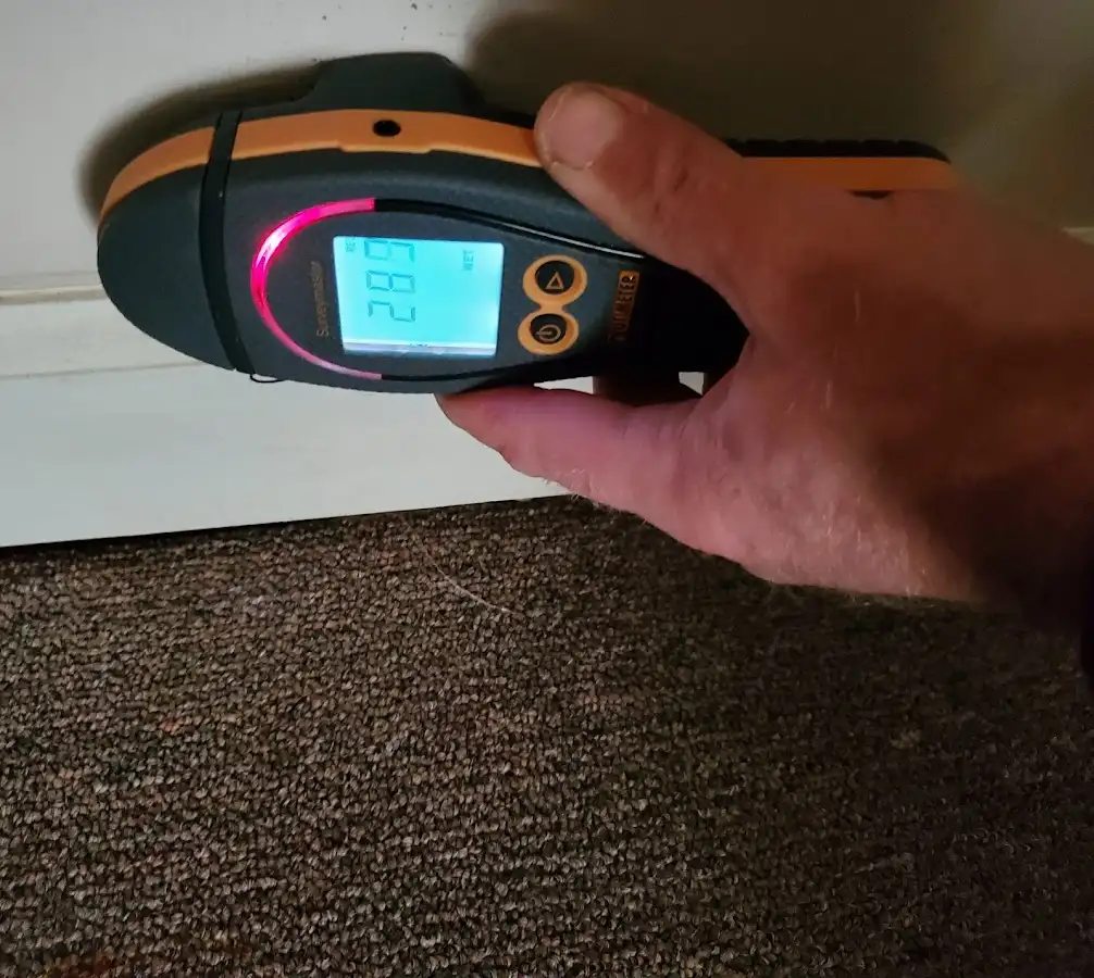 Moisture detection at baseboard during Burst Pipe Cleanup in Elmwood