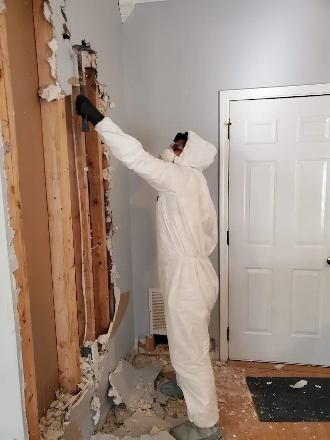 Water Damage Restoration services in Elmwood, LA